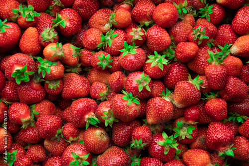 background of freshly picked juicy strawberries, top view. summer time