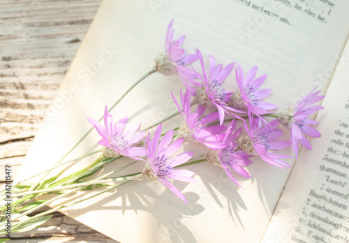 open book with a bouquet of beautiful pink flowers on a wooden table in the garden. 
English text on the pages of the book is changed, letters are partially erased.
