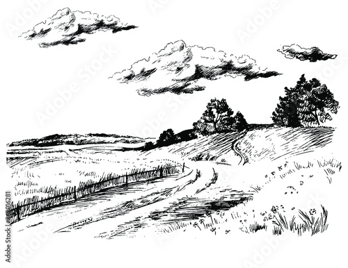 Green grass field on small hills. Meadow, alkali, lye, grassland, pommel, lea, pasturage, farm. Rural scenery landscape panorama of countryside pastures. Vector sketch illustration