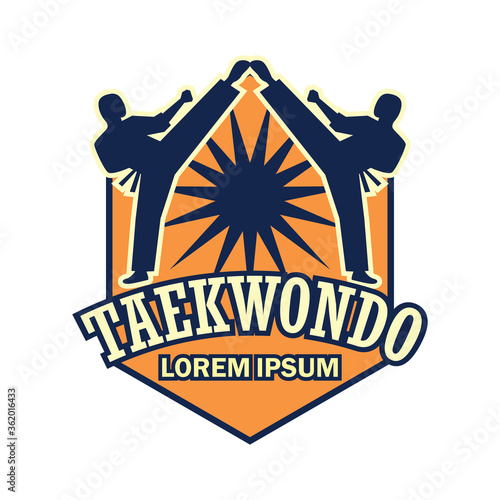 taekwondo martial logo with text space for your slogan tag line, vector illustration