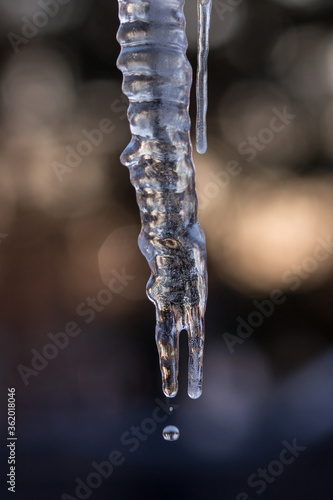 Croco-cicle
