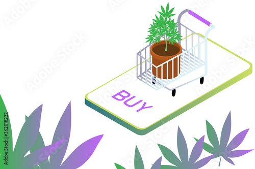 Isometric shopping cart with hemp plant in pot. Concept of online hemp plant order. Isometric illustration of hemp cannabis marijuana plant in shopping cart on smartphone. 