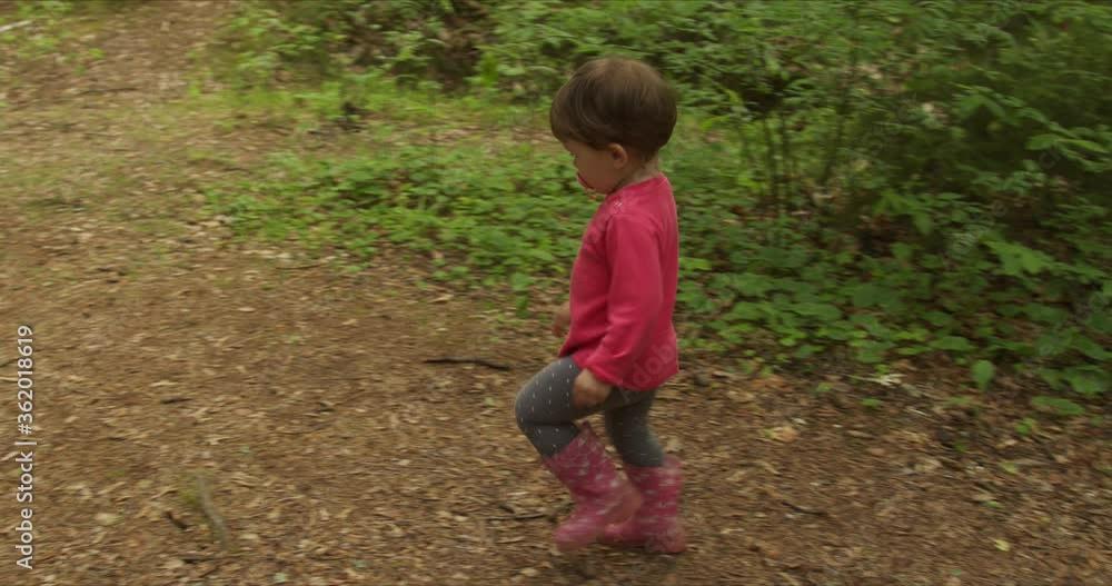 Back view of little girl walking on pines forest path Back view of little girl walking on pines forest path