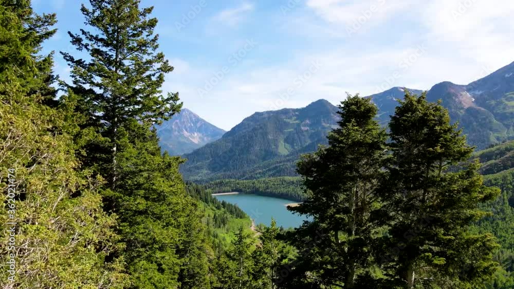Flying close to pine trees and then over a valley with a lake and rugged mountains in the background Flying close to pine trees and then over a valley with a lake and rugged mountains in the background