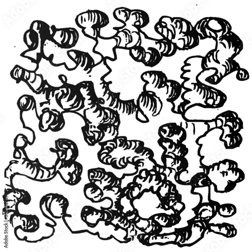 Fototapeta Naklejka Na Ścianę i Meble -  Vector illustration of a black & White abstract hand drawn image.  Bowels, worms, clouds like image.