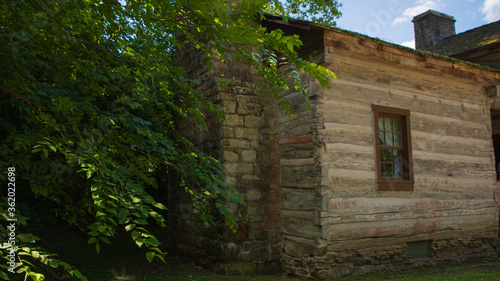 Fototapeta Naklejka Na Ścianę i Meble -  old log cabin wall with ivy