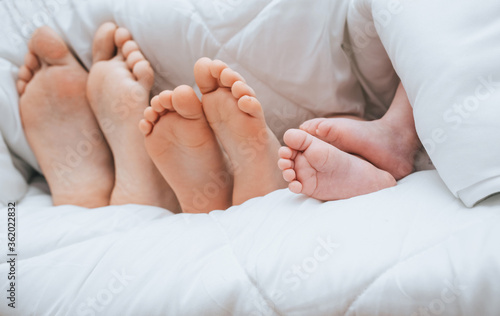 Legs of a family covered with a plaid closeup. Mom, daughter and newborn son are lying, sleeping under a white blanket. Photography, concept. © shchus