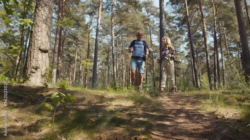 Happy couple seniors on hike with trekking poles standing in forest enjoying beautiful landscape Happy couple seniors on hike with trekking poles standing in forest enjoying beautiful landscape