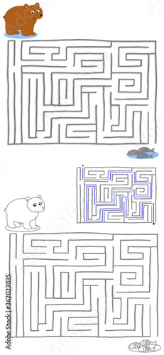 Bear and fish, solved kids maze game vector illustration