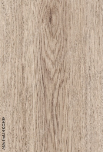 Natural wood grain design of oak wood with cherry stain finish. Macro showing texture and details.
