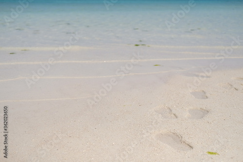 footprints on the beach © Akira