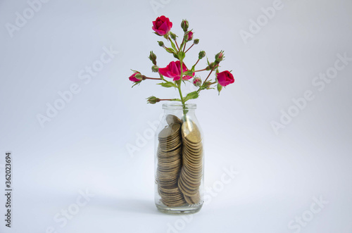 Gold coins in a jar, coins and flower, money storage in a jar