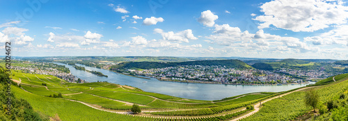 Foto scenic view to Rhine valley with vineyards in Rudesheim