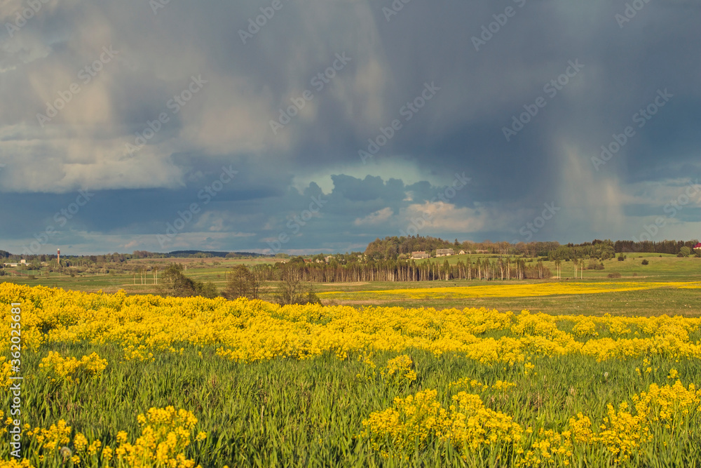 Dramatic sky over the fields. Agricultural landscape in eastern Lithuania.