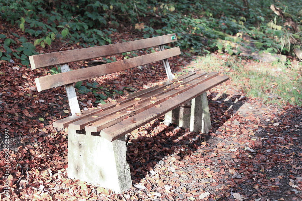 Fototapeta premium Bench in Forest 
