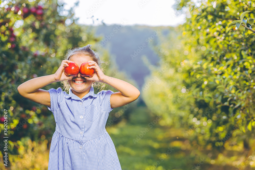 Φωτογραφία Adorable little female picked two fresh ripe apples from apple tree and holds them infront of her eyes, grinning to the camera