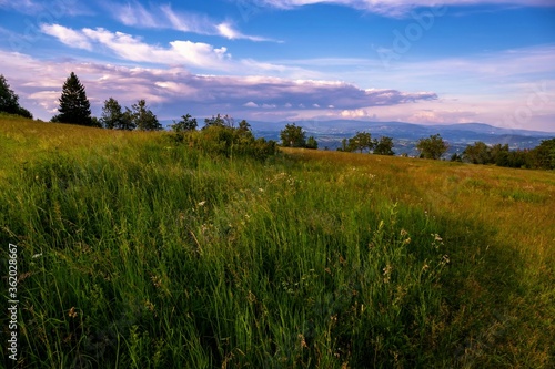 Mountain meadow on Kozakov hill  Czech republic.