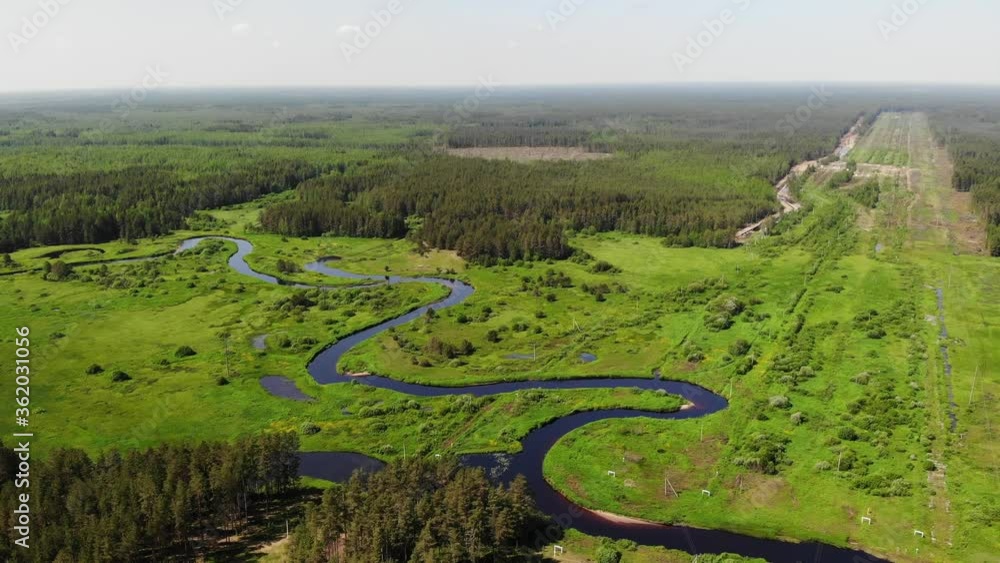 Aerial view oil pipeline in the forest. Wide felling made in the woods forest Aerial view oil pipeline in the forest. Wide felling made in the woods forest