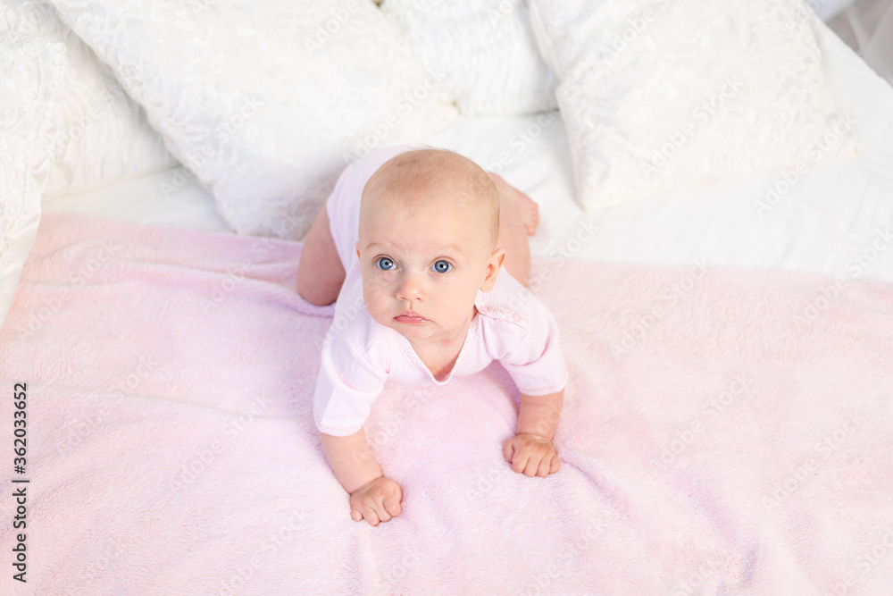 small baby girl 6 months old crawling on a white and pink bed at home, looking away, top view, place for text small baby girl 6 months old crawling on a white and pink bed at home, looking away, top view, place for text
