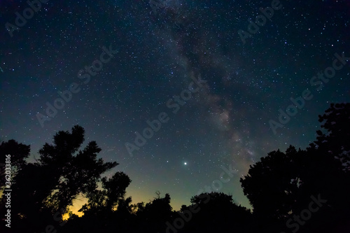 starry sky with milky way above a forest silhouette  quiet summer night background