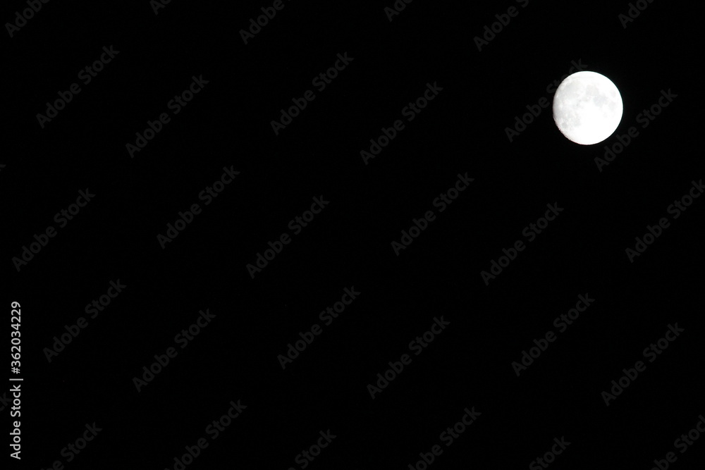 moon moon