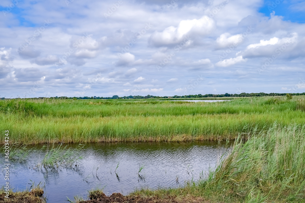 A view across the marshland in Hickling Nature Reserve in rural Norfolk