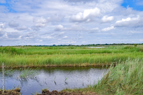A view across the marshland in Hickling Nature Reserve in rural Norfolk