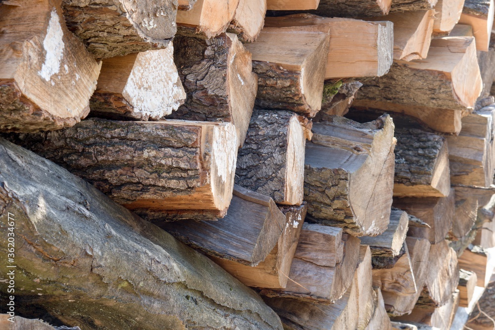 Firewood - wood for winter