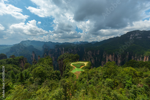 Green nature background, beautiful panoramic picture of Zhangjiajie National Forest Park, Hunan Province, China.
