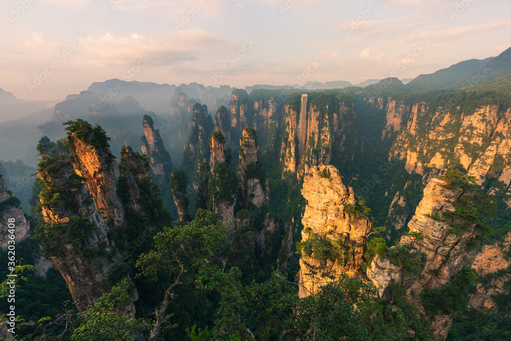 Φωτογραφία Green nature background, beautiful panoramic picture of Zhangjiajie National Forest Park, Hunan Province, China