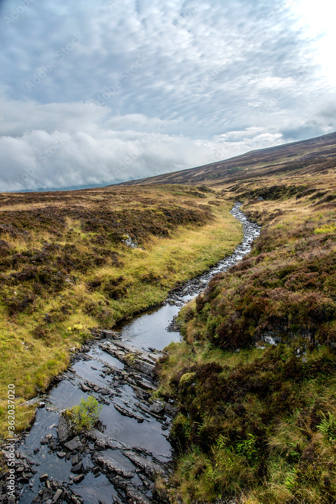 Fototapeta premium Landschaftsbild in Schottland mit einem Bach