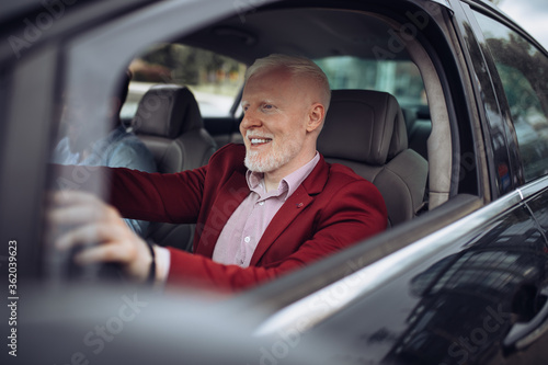 Mature businessman driving car. Senior man driving car. © likoper