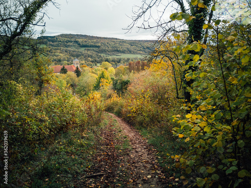 sentier dans les bois en automne. © david