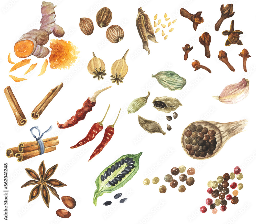 Watercolor spices set clipart. Culinary and Cooking Clipart. Kitchen Decor. Food Illustration. Cardamom Garlic Ginger Pepper Turmeric Vanilla. Watercolor spices set clipart. Culinary and Cooking Clipart. Kitchen Decor. Food Illustration. Cardamom Garlic Ginger Pepper Turmeric Vanilla.