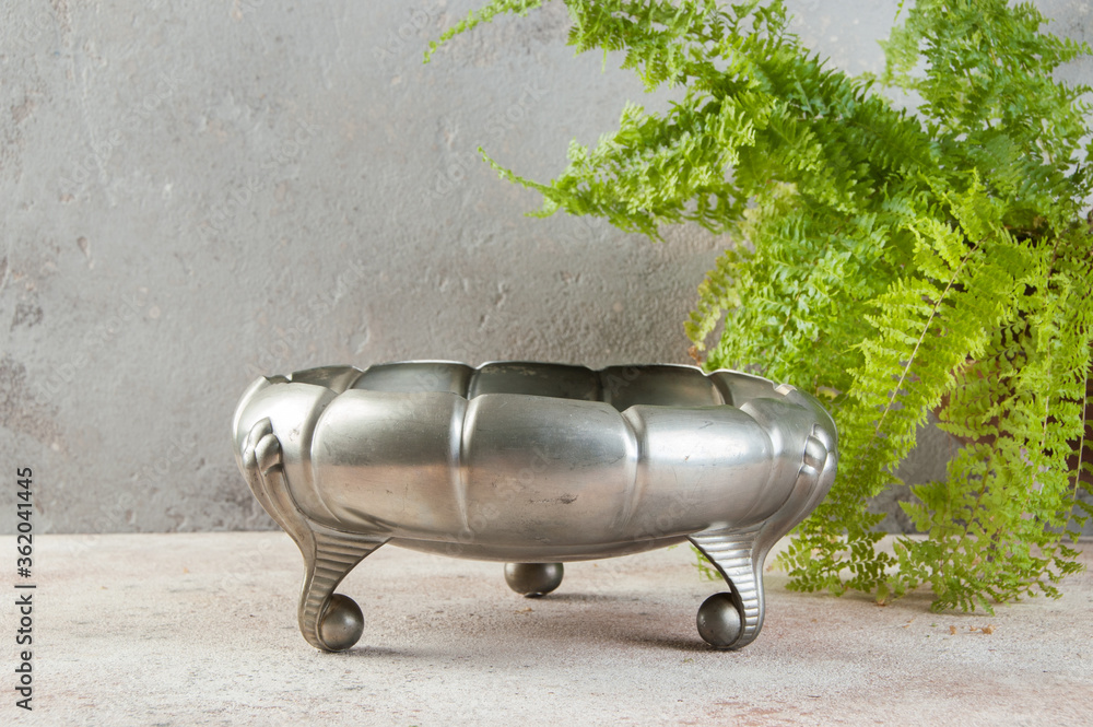 Antique metal vase and green plant Antique metal vase and green plant