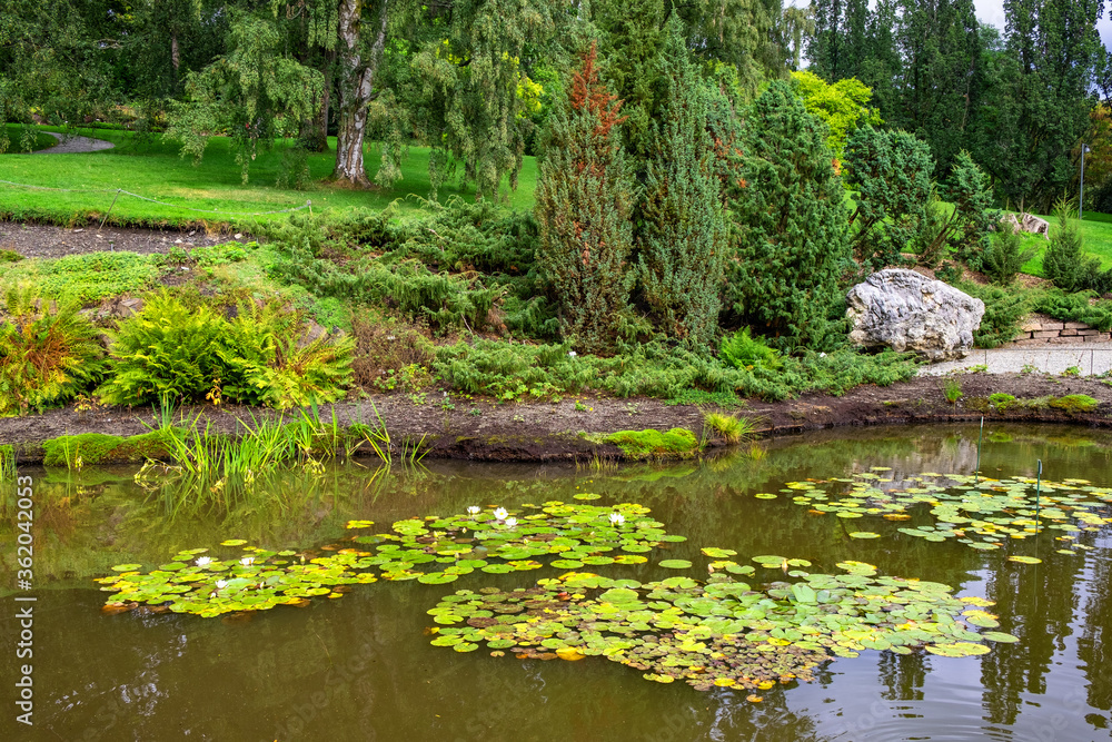 Panoramic view of Botanical Garden - Botanisk hage - floral exposition within Natural History Museum, Naturhistorisk museet in Oslo, Norway