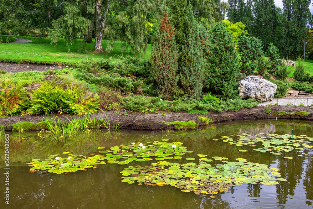 Panoramic view of Botanical Garden - Botanisk hage - floral exposition within Natural History Museum, Naturhistorisk museet in Oslo, Norway Panoramic view of Botanical Garden - Botanisk hage - floral exposition within Natural History Museum, Naturhistorisk museet in Oslo, Norway