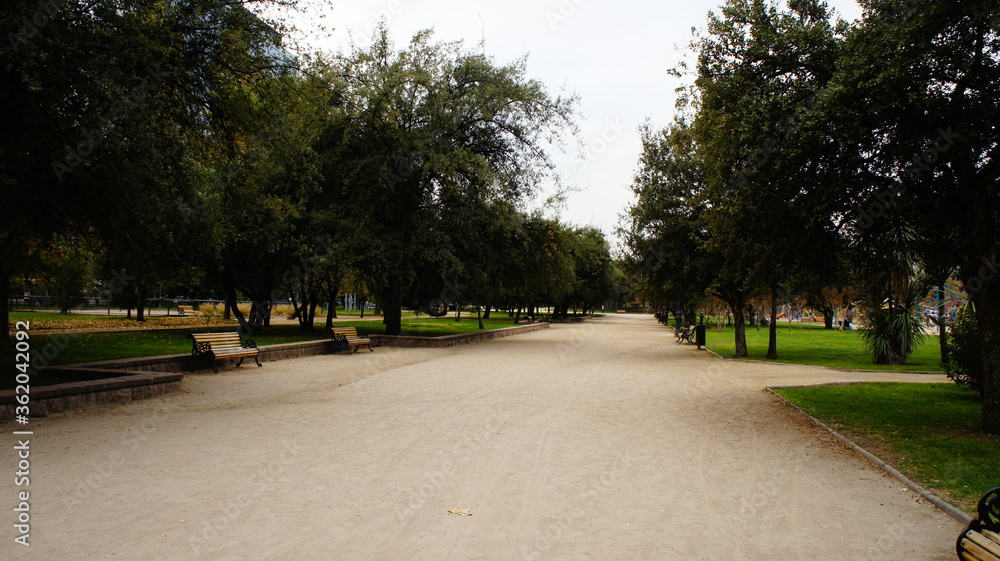 Obraz premium SONY DSC