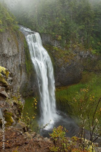 Salt Creek Falls on a foggy morning  near the summit of the Willamette pass on state Highway 58 east of Oakridge  Oregon.