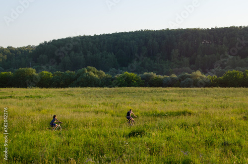 Family on a walk in the fields on a summer evening