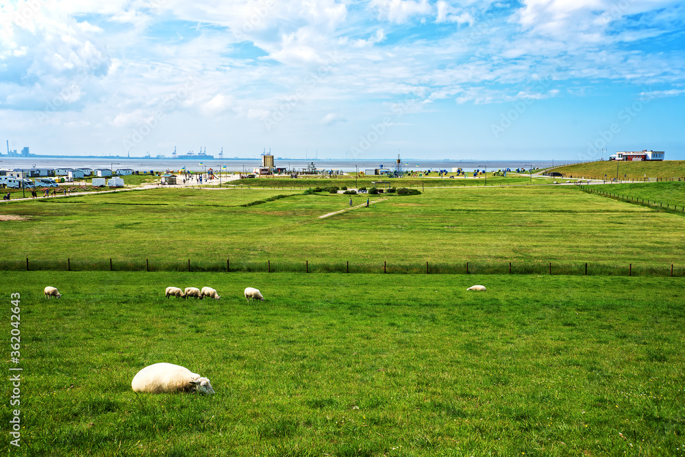 custom made wallpaper toronto digitalWiese vor dem Strand in Burhave Niedersachsen