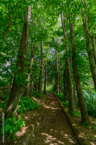 Parco del Grassano  San Salvatore Telesino  Benevento  Italy   This park is surrounded by big trees and a natural water source rich of sulfur which is good for the skin.  This place is idea for kayak 