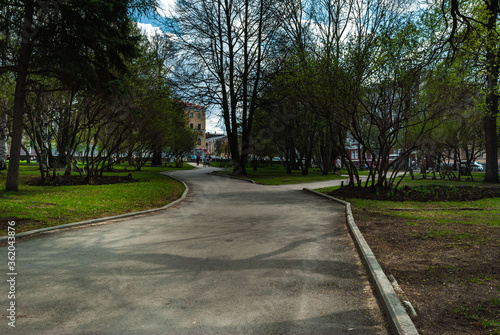 Wallpaper Mural The park area. Asphalt path with fork in the city park. Lawns with green grass and trees, clear sunny day Torontodigital.ca