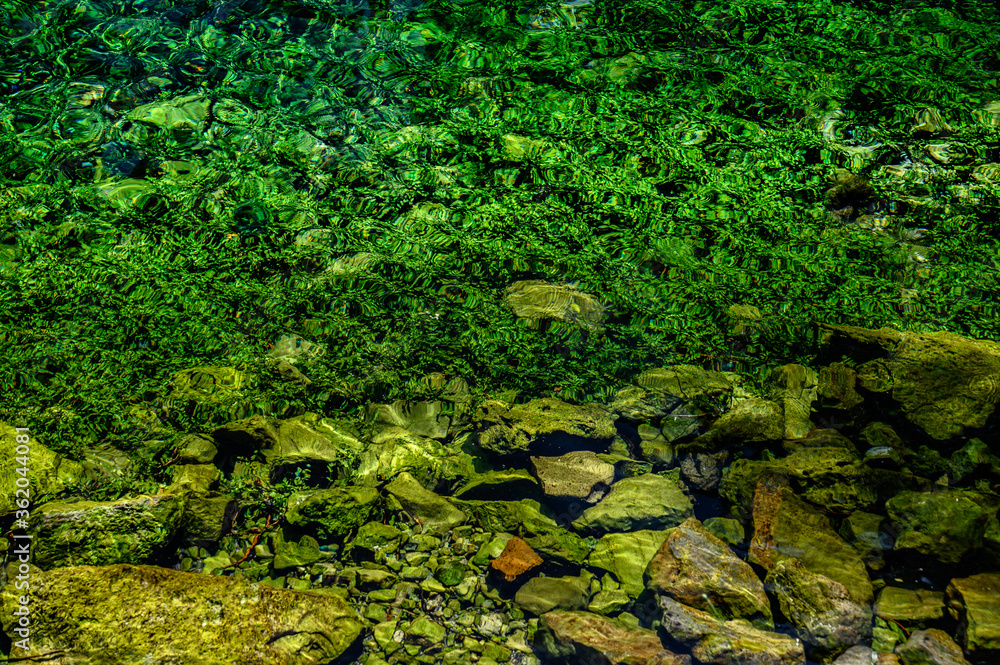 Fototapeta premium Parco del Grassano, San Salvatore Telesino, Benevento, ItalyThis park is surrounded by big trees and a natural water source rich of sulfur which is good for the skin. This place is idea for kayak 