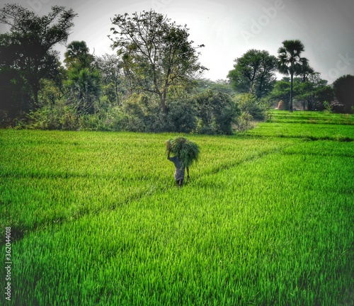 Photography shallow depth of field