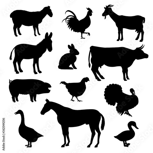 Domestic, farm animals, birds black silhouettes. Donkey, cock, goat, sheep, rabbit, horse.
