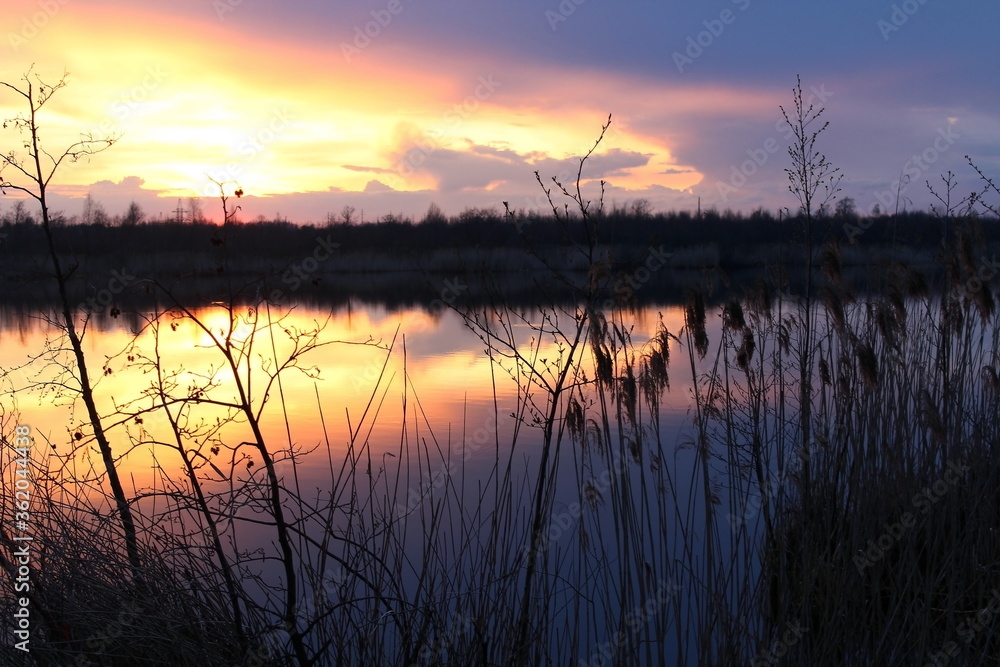 Sunset over a pond in a warm, spring evening. Unique image of the environment.