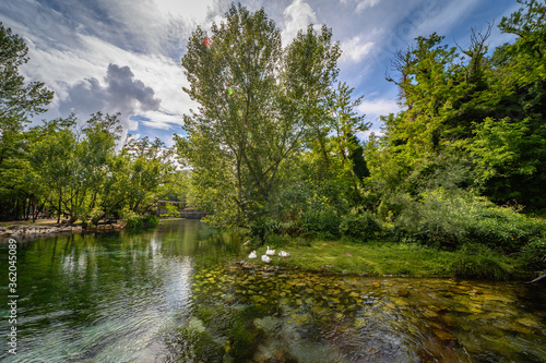 Parco del Grassano, San Salvatore Telesino, Benevento, ItalyThis park is surrounded by big trees and a natural water source rich of sulfur which is good for the skin. This place is idea for kayak 