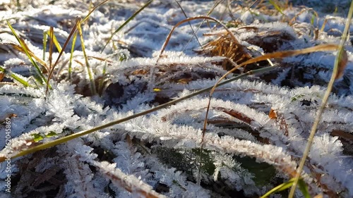 Close-up panorama of frozen grass, the first snow fell, the first frosty days came. Green grass covered with fluffy snow and ice crystals. A sharp contrast between summer and winter. On open air.