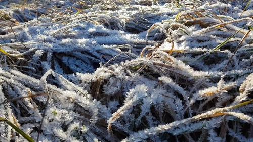 Close-up panorama of frozen grass, the first snow fell, the first frosty days came. Green grass covered with fluffy snow and ice crystals. A sharp contrast between summer and winter. On open air.